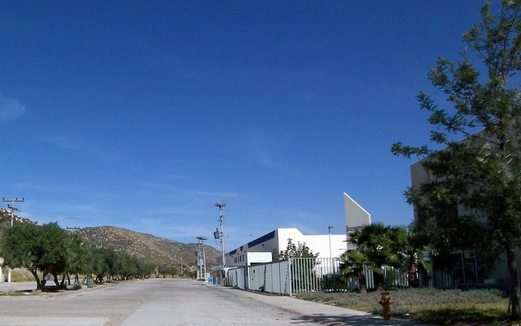 Street inside a Mexican industrial park lined with palm trees