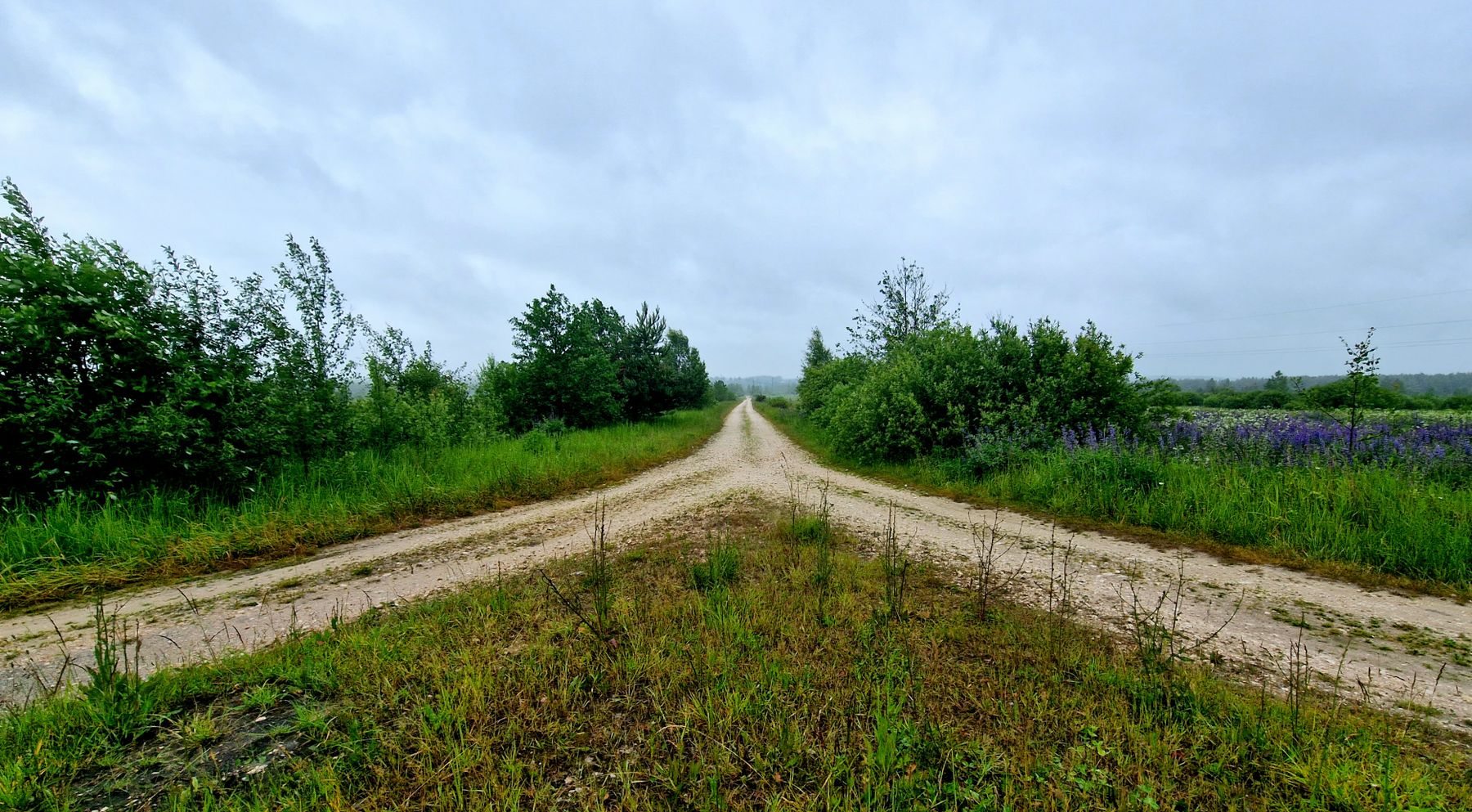 Dirt road splitting into two paths through open countryside